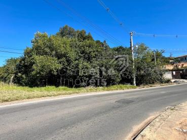 Terreno de 1.128m² à Venda - Ponta Grossa - Ref. 521272-4