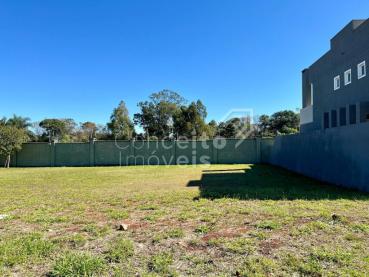 Terreno de 316m² à Venda - Ponta Grossa - Ref. 521273-4