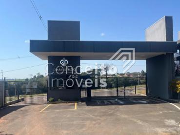 Terreno de 245m² à Venda - Ponta Grossa - Ref. 521439-4