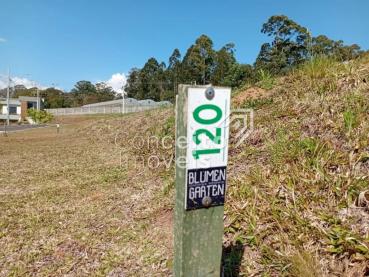 Terreno de 260m² à Venda - Ponta Grossa - Ref. 521702-4