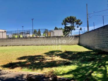 Terreno de 253m² à Venda - Ponta Grossa - Ref. 527287-4