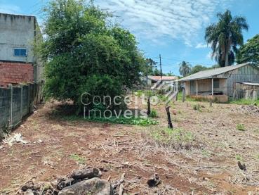 Terreno de 230m² para Alugar - Ponta Grossa - Ref. 528037-5
