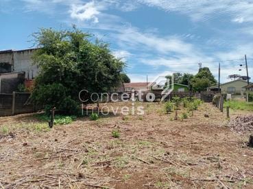 Terreno de 230m² à Venda - Ponta Grossa - Ref. 528038-4