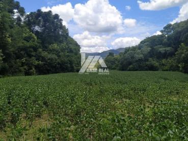 Chácara de 145.200m² à Venda - Prudentópolis - Ref. 471839-4