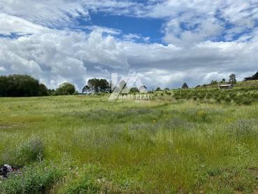 Terreno de 1.000m² à Venda - Guarapuava - Ref. 479314-4