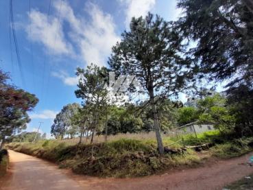 Chácara de 3.000m² à Venda - Guarapuava - Ref. 479505-4