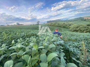 Terreno de 234.000m² à Venda - Guamiranga - Ref. 519926-4