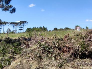 Terreno Rural de 500m² à Venda - Ponta Grossa - Ref. 524805-4