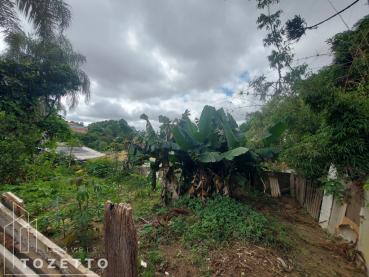 Terreno de 981m² à Venda - Ponta Grossa - Ref. 525036-4