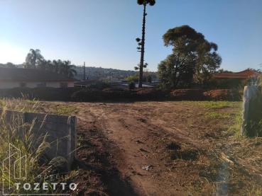 Terreno de 924m² à Venda - Ponta Grossa - Ref. 525347-4