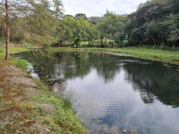 Chácara de 50.000m² à Venda - Itaiacoca - Ref. 528057-4