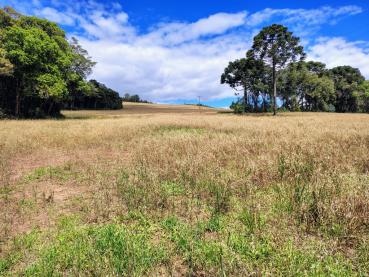 Fazenda de 895.400m² à Venda - Ponta Grossa - Ref. 528059-4