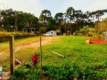 Sítio de 2.000m² à Venda - Carambei - Ref. 544420-4