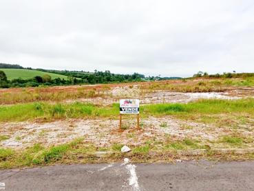 Terreno de 240m² à Venda - Carambei - Ref. 544510-4