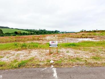 Terreno de 240m² à Venda - Carambei - Ref. 544510-4