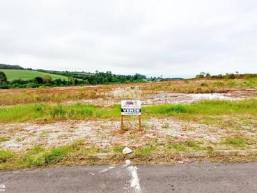 Terreno de 240m² à Venda - Carambei - Ref. 544510-4