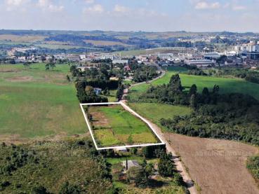 Terreno de 9.250m² à Venda - Carambei - Ref. 547067-4