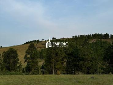 Sítio de 1.000m² à Venda - Ponta Grossa - Ref. 521576-4