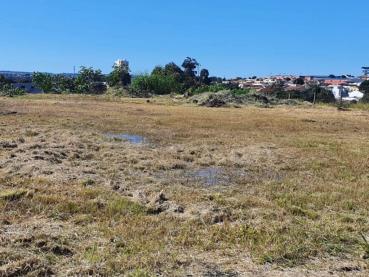 Terreno de 5.000m² à Venda - Ponta Grossa - Ref. 453051-4