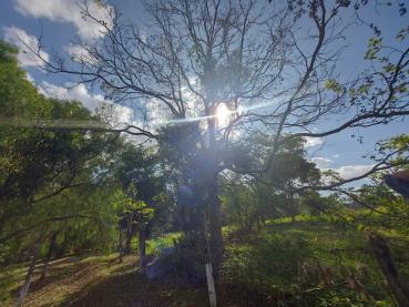 Chácara de 1.500m² à Venda - Ponta Grossa - Ref. 515092-4