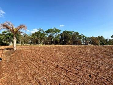 Terreno de 24.200m² à Venda - Ponta Grossa - Ref. 522921-4