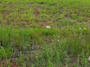 Terreno de 169m² à Venda - Ponta Grossa - Ref. 538049-4