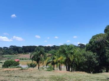 Terreno de 305m² à Venda - Ponta Grossa - Ref. 538050-4