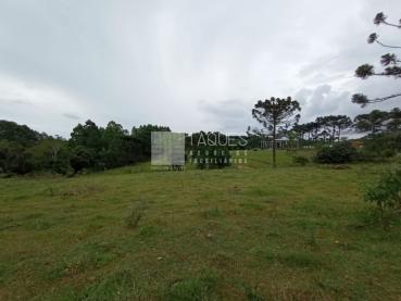 Terreno Rural de 16.908m² à Venda - Ponta Grossa - Ref. 515615-4