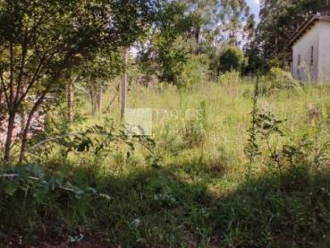 Terreno de 4.000m² à Venda - Ponta Grossa - Ref. 515746-4