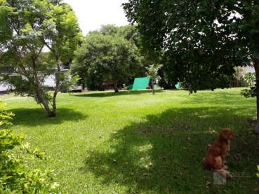 Terreno à Venda - Ref. 515783-4