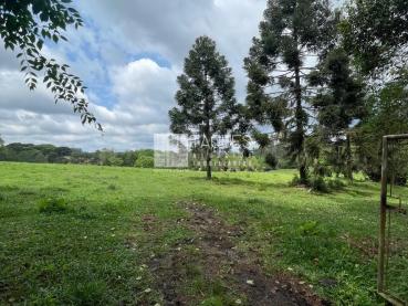Terreno Rural de 48.000m² à Venda - Ponta Grossa - Ref. 515790-4