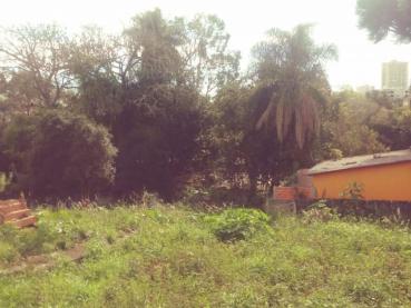 Terreno à Venda - Ref. 382098-4