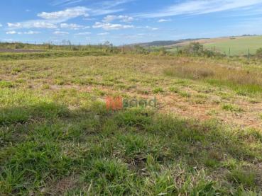 Terreno à Venda em Ponta Grossa, 405092-4