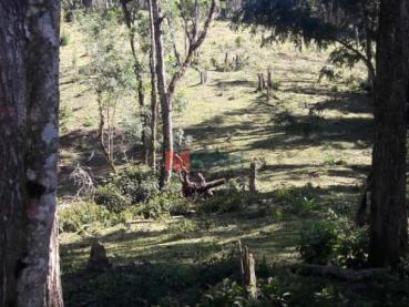 Chácara de 532.400m² à Venda - Campo Largo - Ref. 448795-4