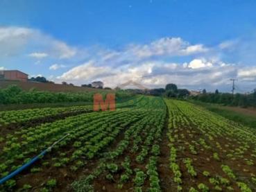 Terreno de 17.700m² à Venda - Ponta Grossa - Ref. 448813-4