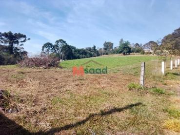Terreno de 10.050m² para Alugar - Ponta Grossa - Ref. 476244-5