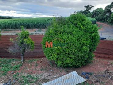 Terreno de 4.683m² à Venda - Ponta Grossa - Ref. 506544-4