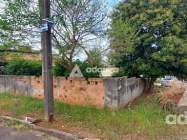 Terreno de 250m² à Venda - Ponta Grossa - Ref. 460995-4