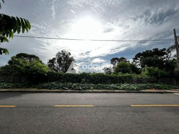 Terreno de 462m² à Venda - Ponta Grossa - Ref. 461037-4