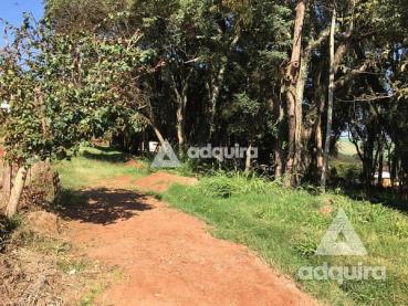 Terreno de 1.716m² à Venda - Carambei - Ref. 461071-4