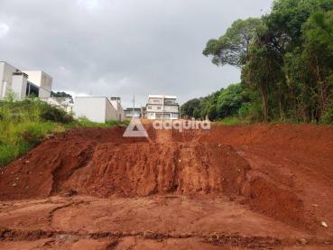 Terreno de 462m² à Venda - Ponta Grossa - Ref. 461138-4