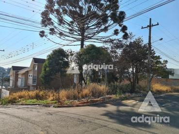 Terreno de 540m² à Venda - Ponta Grossa - Ref. 461163-4