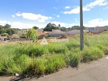 Terreno de 510m² à Venda - Ponta Grossa - Ref. 461186-4