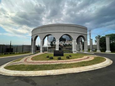 Terreno de 462m² à Venda - Ponta Grossa - Ref. 461231-4