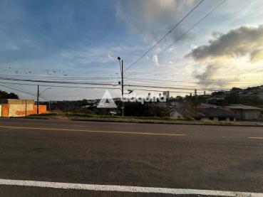 Terreno de 462m² à Venda - Ponta Grossa - Ref. 461241-4