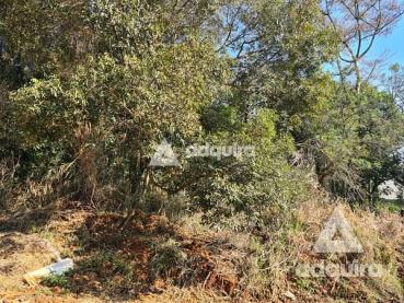 Terreno de 424m² à Venda - Ponta Grossa - Ref. 461270-4
