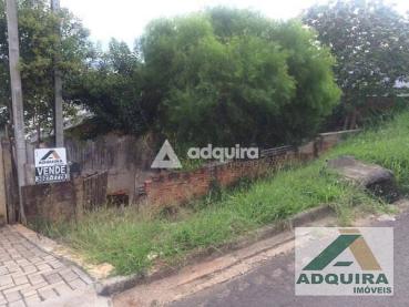 Terreno à Venda em Ponta Grossa, 461289-4