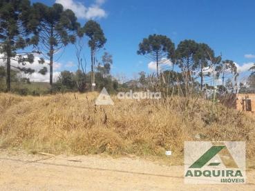 Terreno de 361m² à Venda - Ponta Grossa - Ref. 461335-4