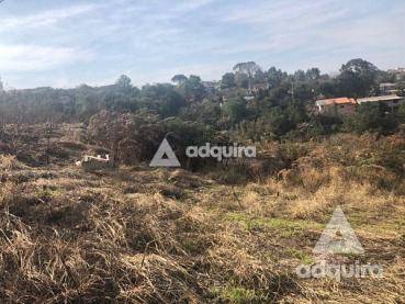 Terreno de 348m² à Venda - Ponta Grossa - Ref. 461341-4
