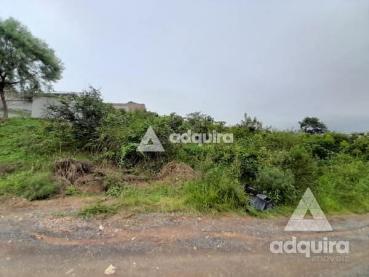 Terreno de 490m² à Venda - Ponta Grossa - Ref. 461385-4